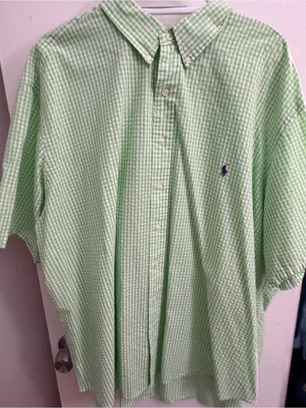 Ralph Lauren Light Green Gingham Button-Down Shirt